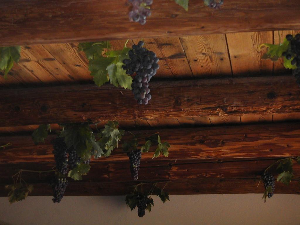 B&B Al Cristo SantʼAmbrogio di Valpolicella Dış mekan fotoğraf