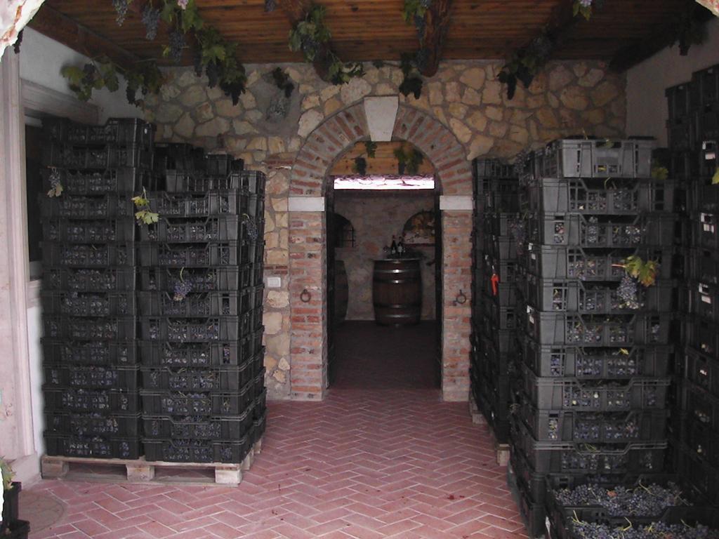 B&B Al Cristo SantʼAmbrogio di Valpolicella Dış mekan fotoğraf