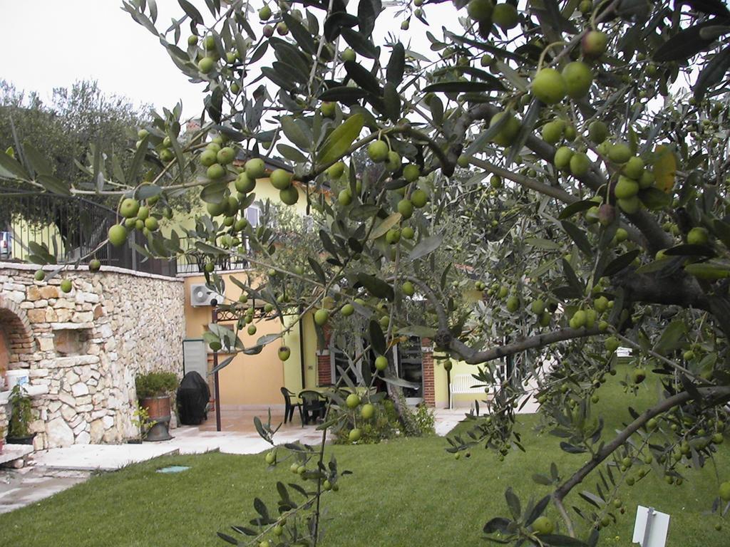 B&B Al Cristo SantʼAmbrogio di Valpolicella Dış mekan fotoğraf