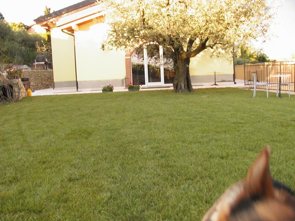B&B Al Cristo SantʼAmbrogio di Valpolicella Dış mekan fotoğraf